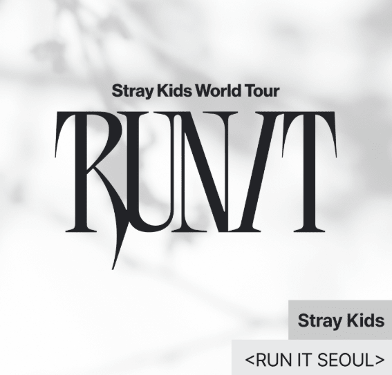 Stray Kids Run It World Tour Official MD - KPop Idol