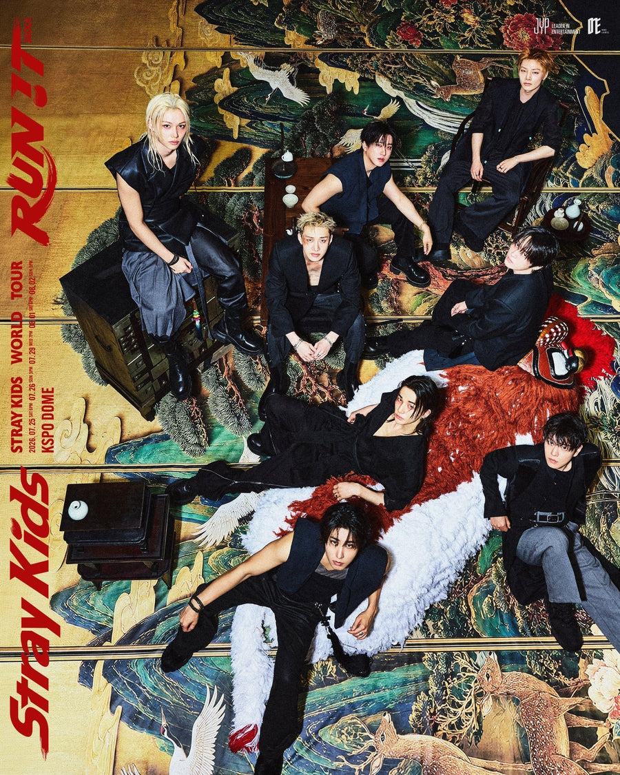 Stray Kids This & That - KPop Idol