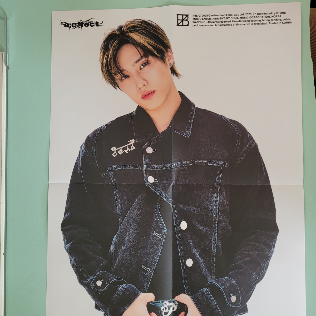 The Boyz - A;effect Poster - Jacob