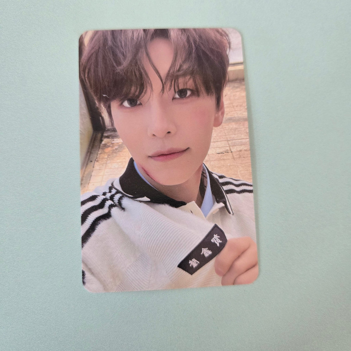 Alpha Drive One - Euphoria Album Photocard: Digipack - Xinlong - KPop Idol