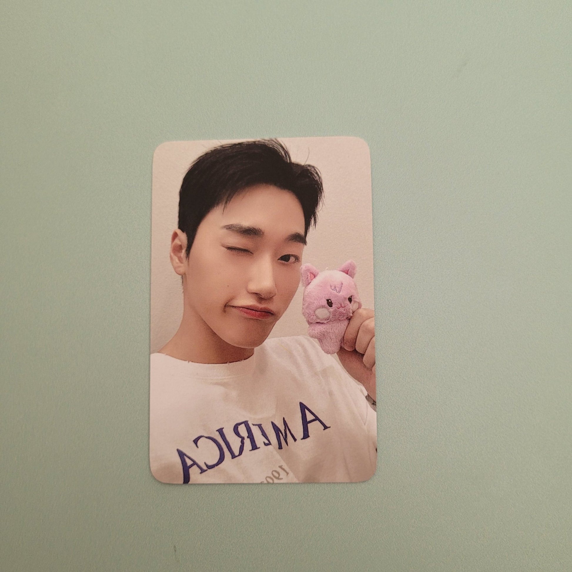 Ateez - Aniteez in the Calling Tiny Plush Doll Photocard - San - KPop Idol