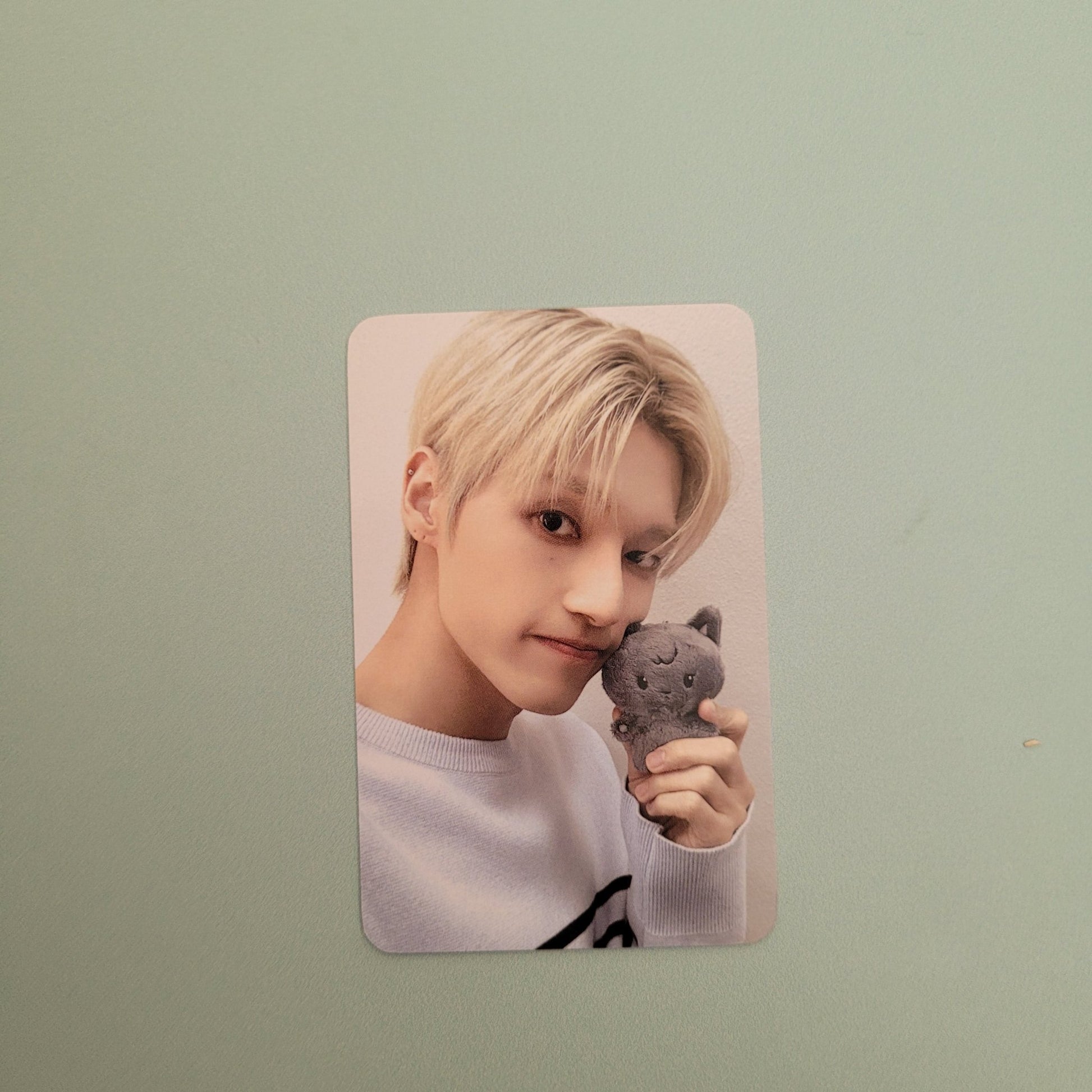 Ateez - Aniteez in the Calling Tiny Plush Doll Photocard - Wooyoung - KPop Idol
