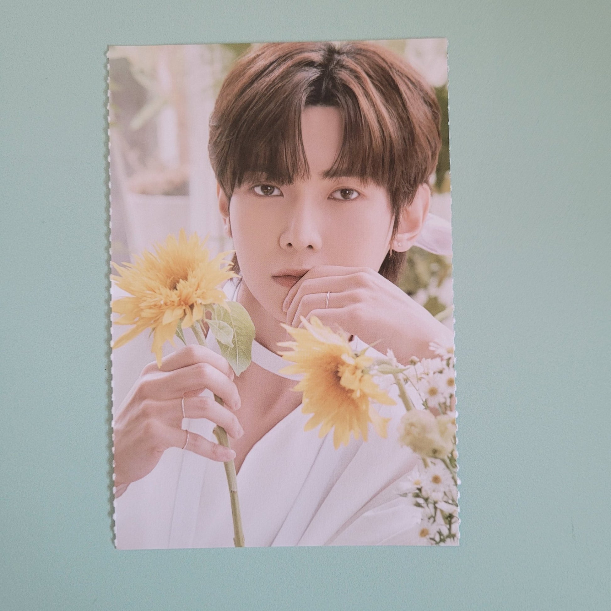 Ateez x Nacific Round One Flowering Day Postcard (Member Choice) - KPop Idol