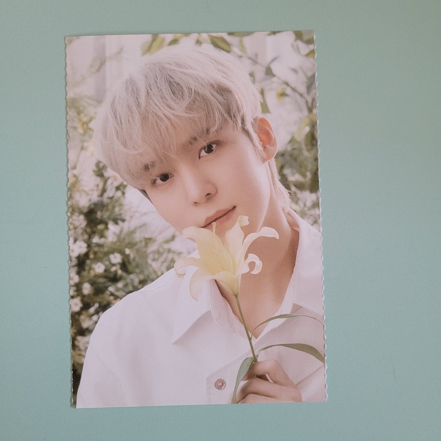 Ateez x Nacific Round One Flowering Day Postcard (Member Choice) - KPop Idol