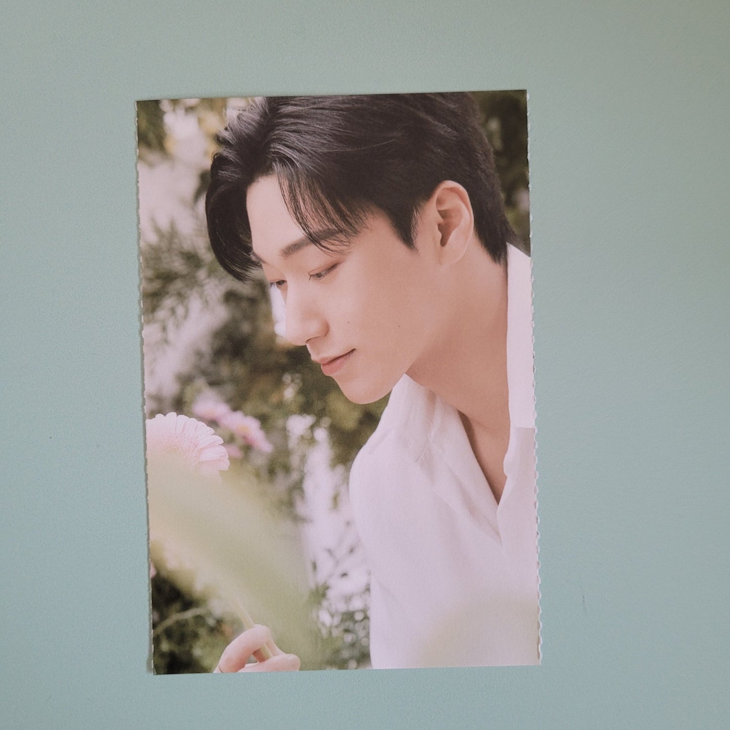 Ateez x Nacific Round One Flowering Day Postcard (Member Choice) - KPop Idol