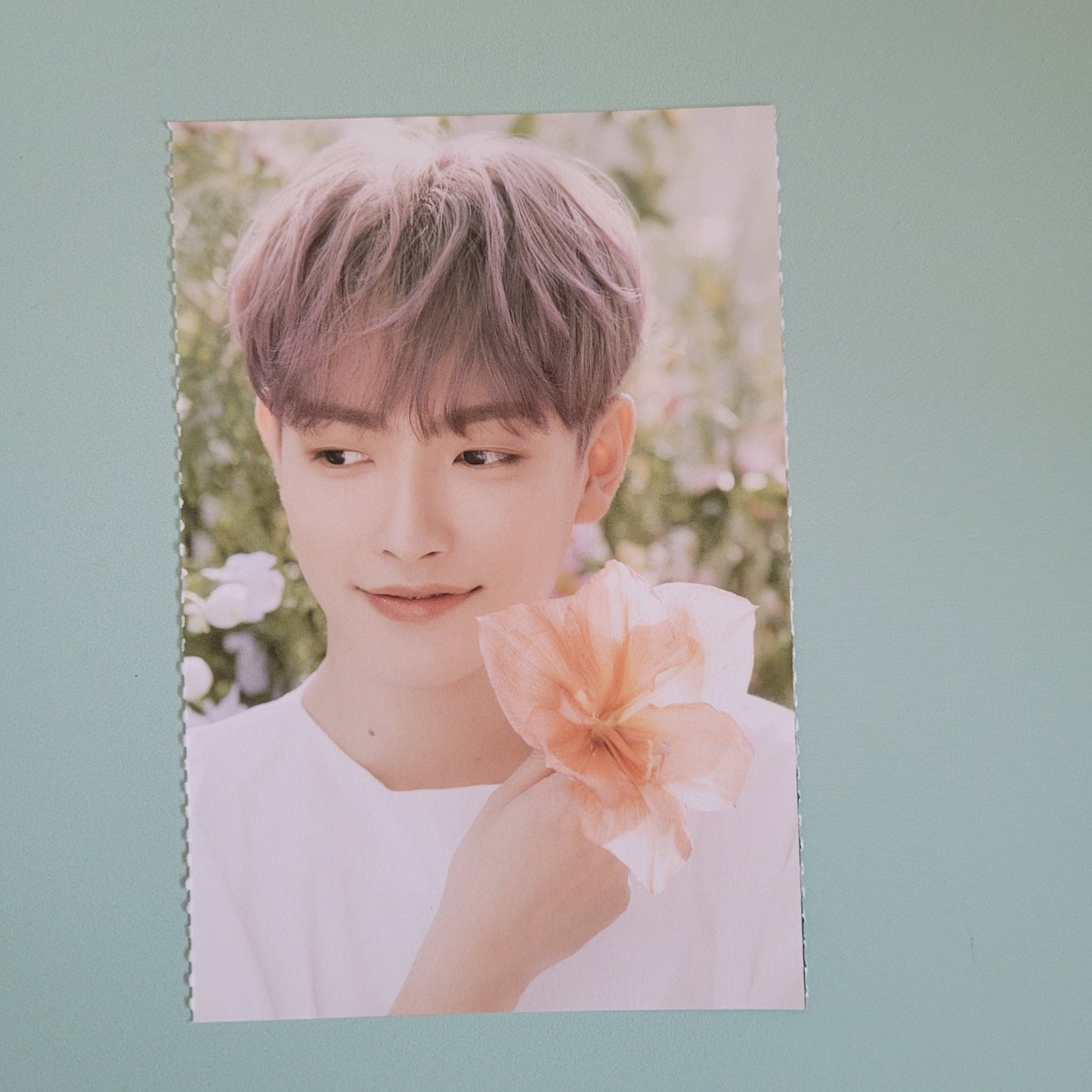 Ateez x Nacific Round One Flowering Day Postcard (Member Choice) - KPop Idol