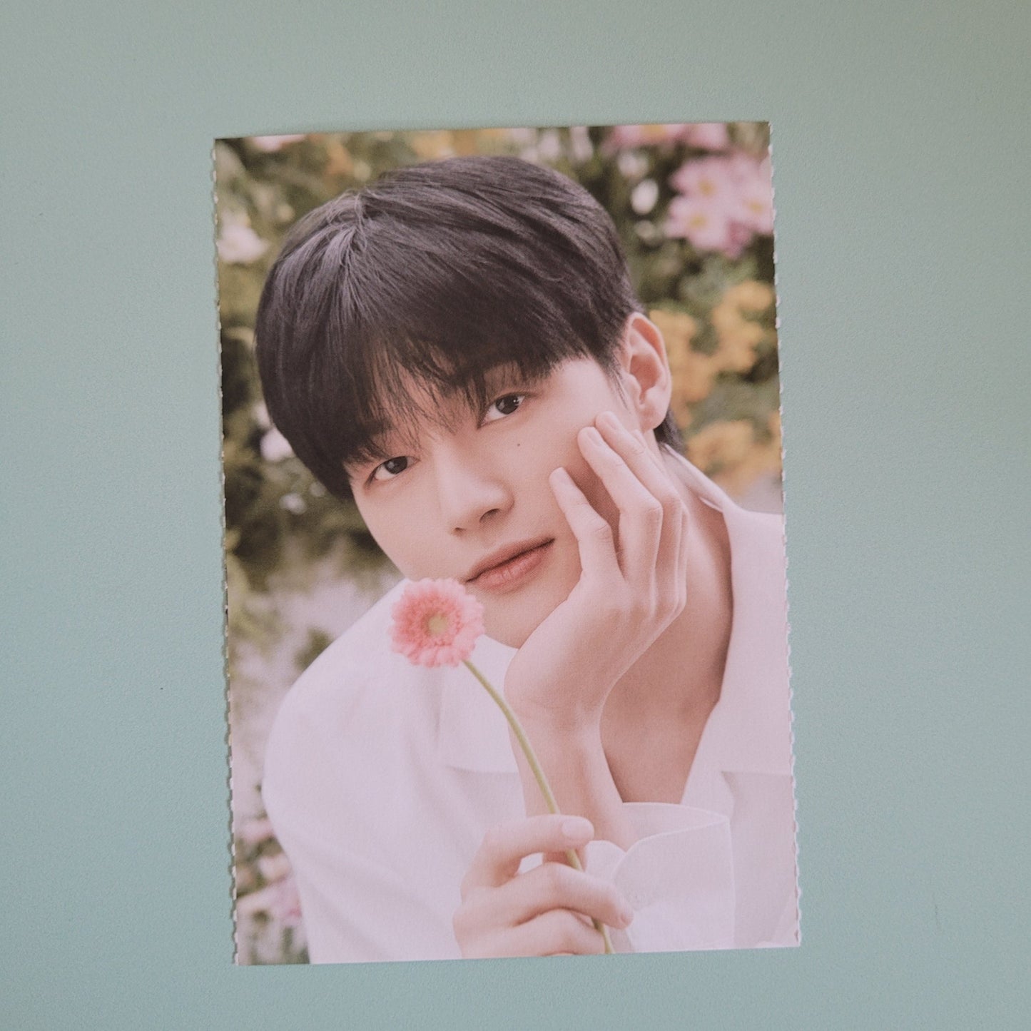 Ateez x Nacific Round One Flowering Day Postcard (Member Choice) - KPop Idol