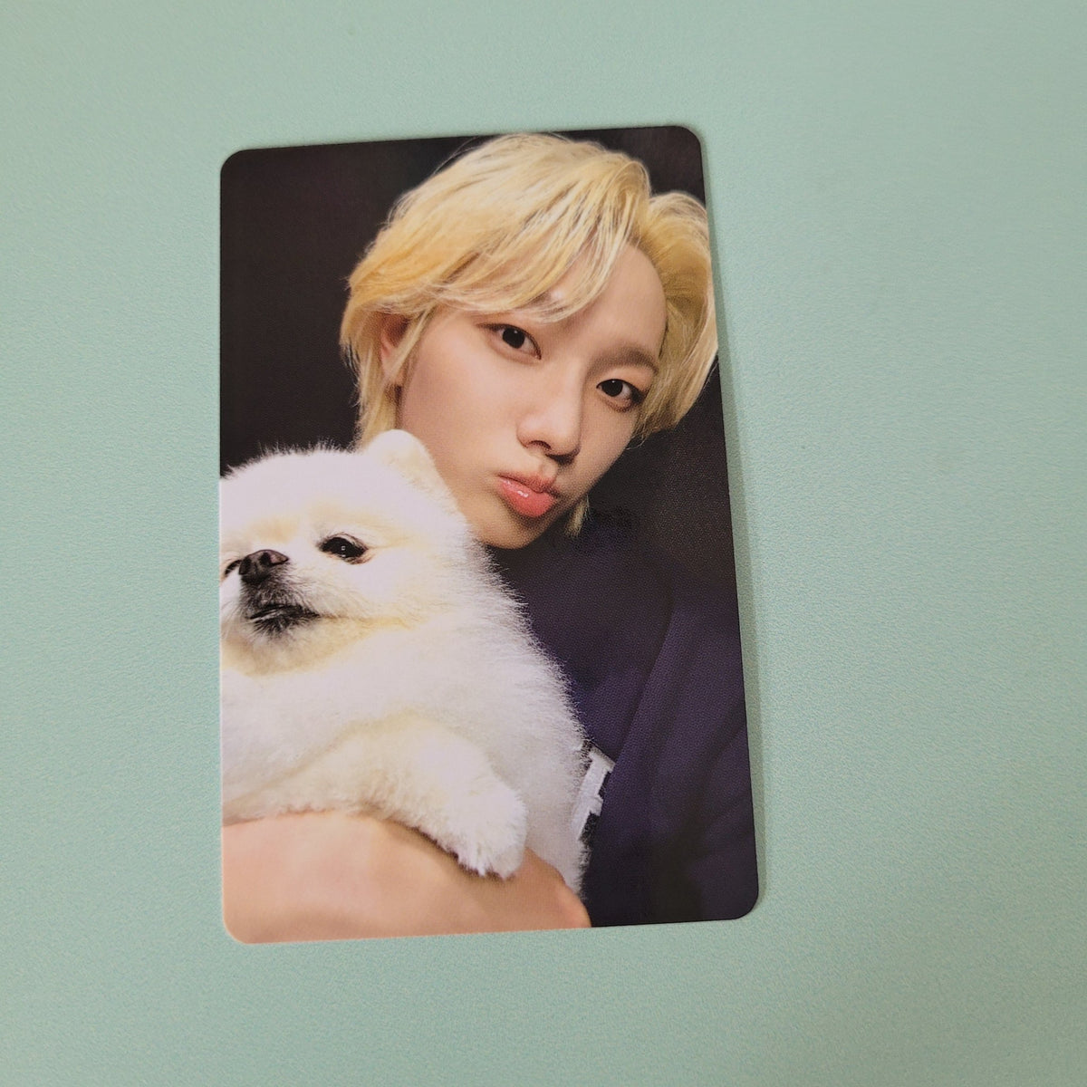 BoyNextDoor - Home POB: Weverse - Sungho - KPop Idol