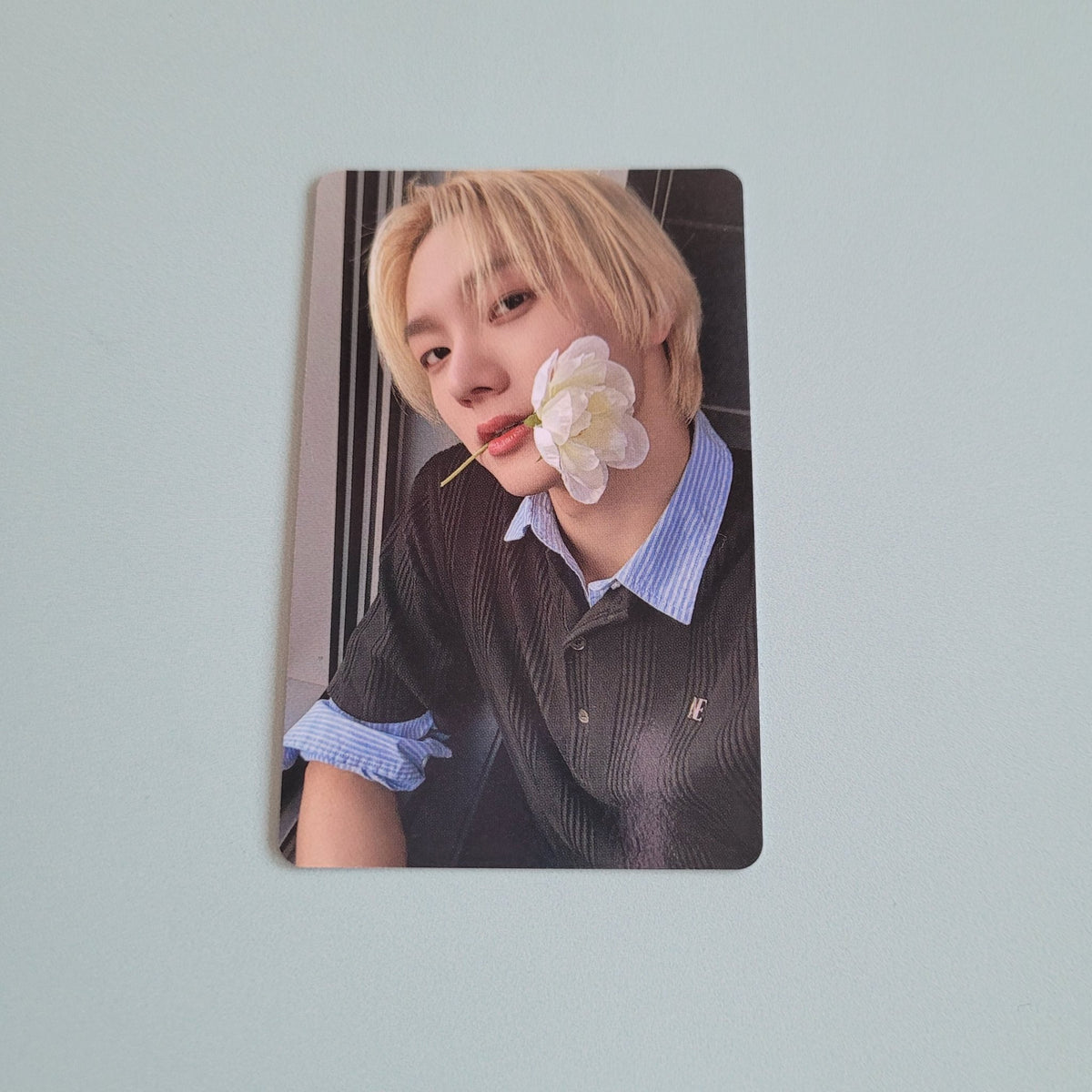BoyNextDoor - The Action POB: Weverse Shop - Sungho - KPop Idol