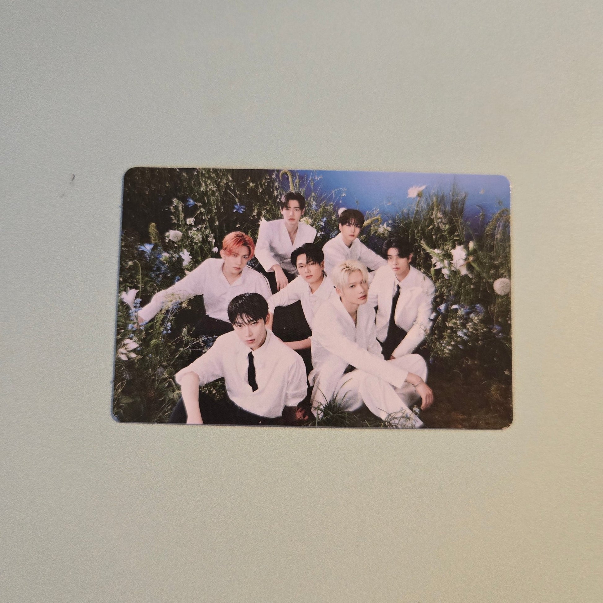 Enhypen - Walk The Line World Tour Final Random Trading Card - Full Groups - KPop Idol