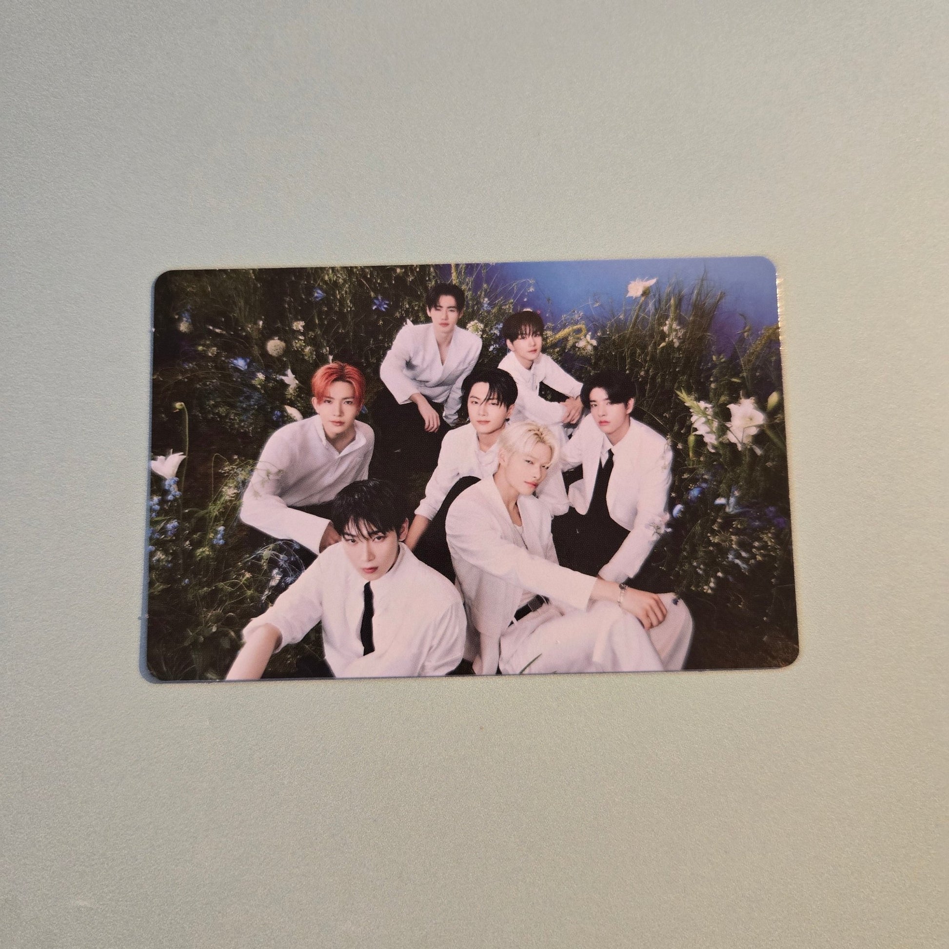 Enhypen - Walk The Line World Tour Final Random Trading Card - Full Groups - KPop Idol