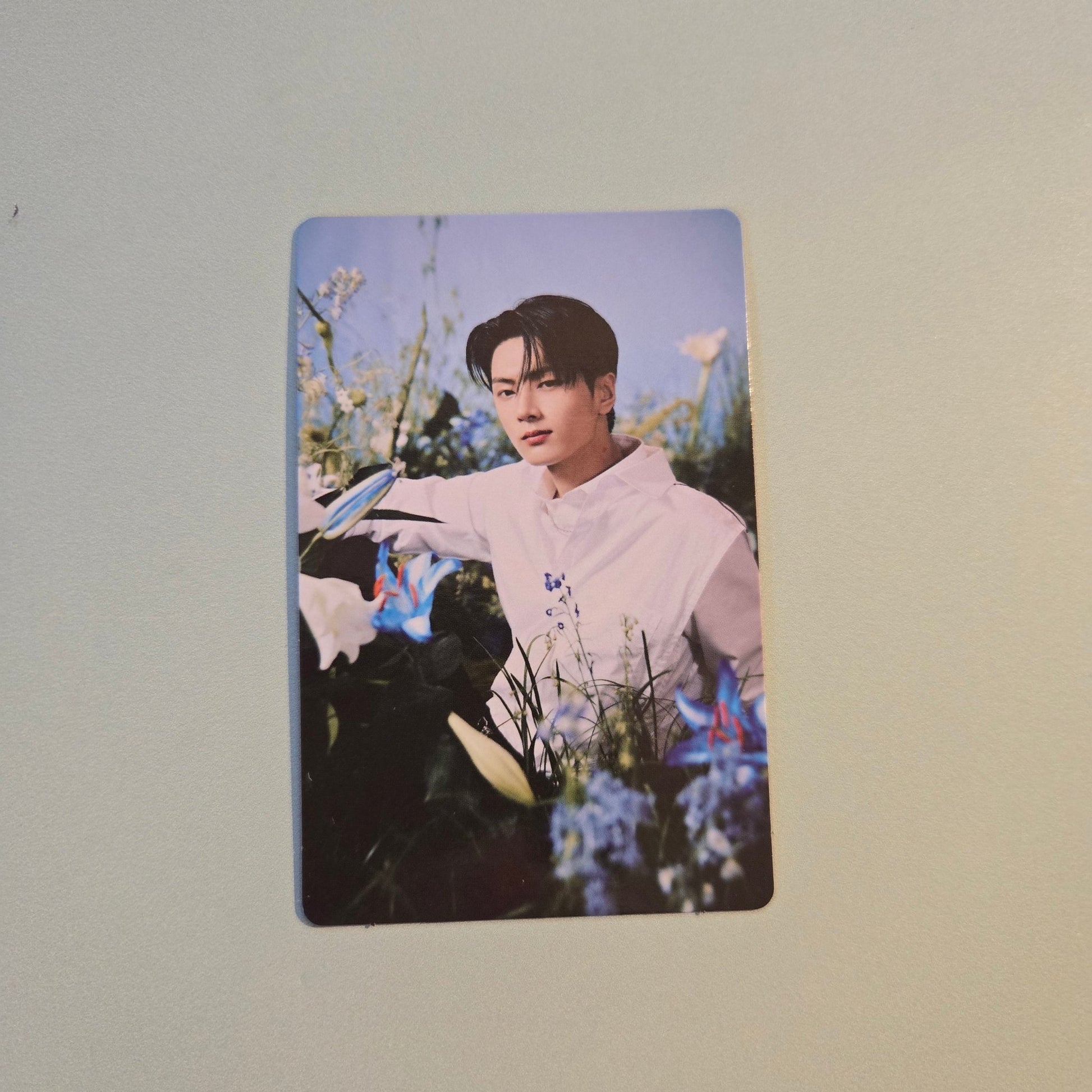 Enhypen - Walk The Line World Tour Final Random Trading Card - Jay - KPop Idol