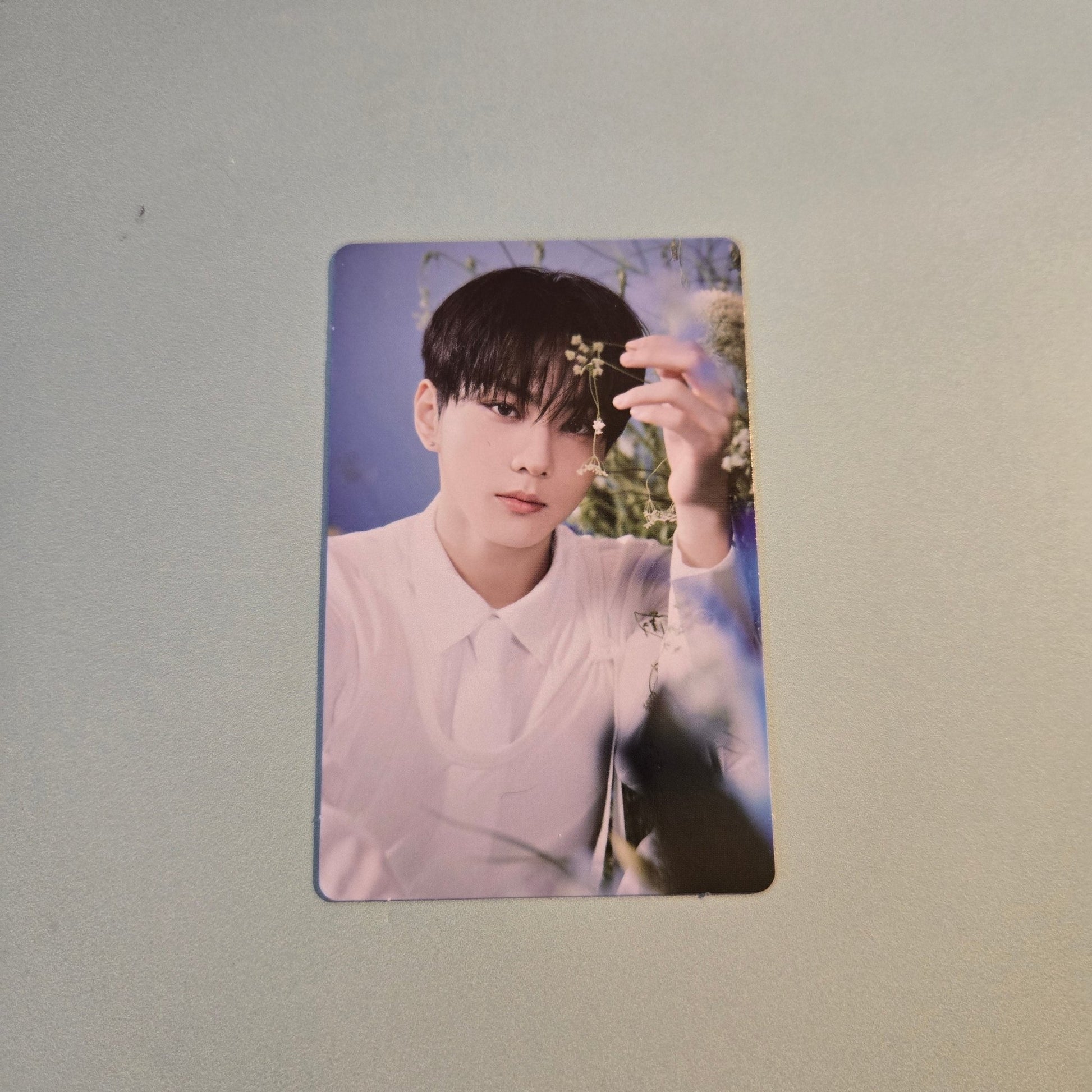 Enhypen - Walk The Line World Tour Final Random Trading Card - Jungwon - KPop Idol