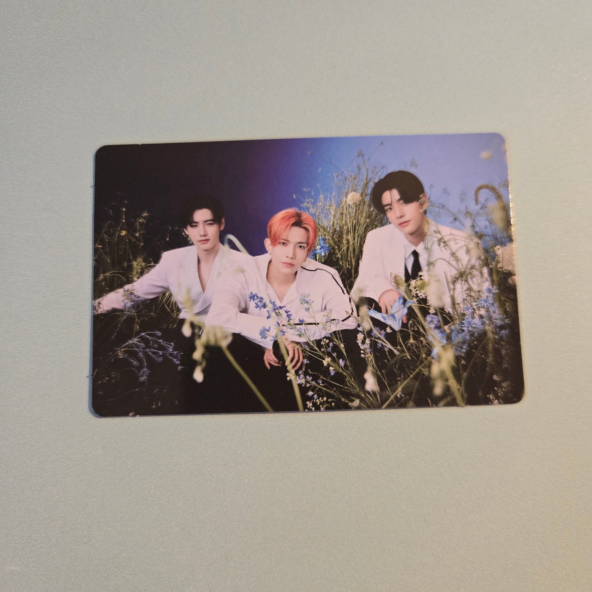 Enhypen - Walk The Line World Tour Final Random Trading Card - Unit: Sunghoon, Heeseung & Jake - KPop Idol