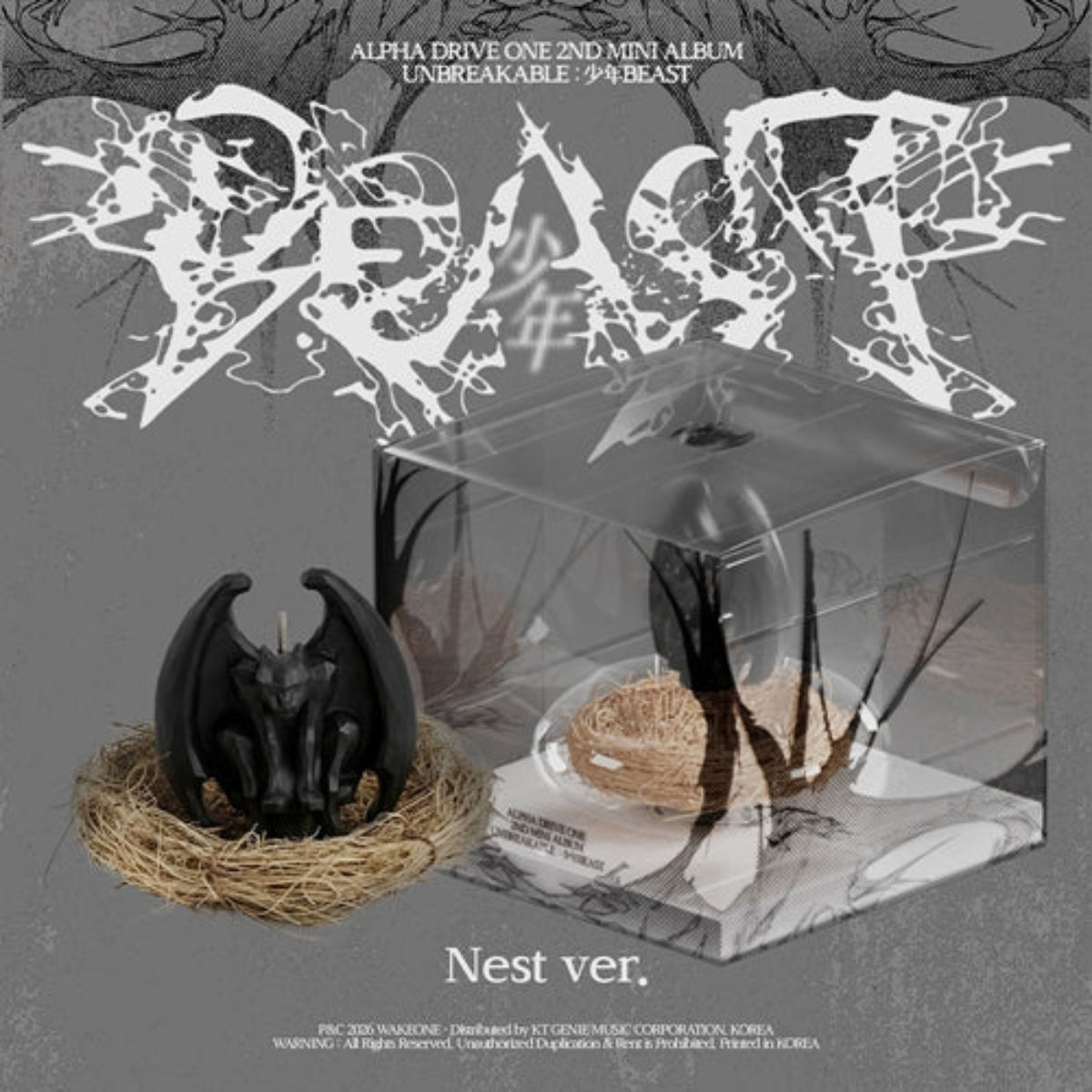 (Pre Order) Alpha Drive One: Unbreakable: 少年Beast - Nest Ver. Limited - KPop Idol