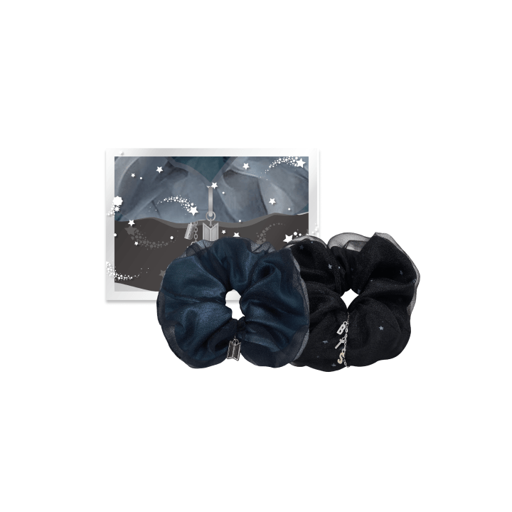 (Pre Order) BTS - 2025 Festa: Organza Scrunchie Set (version choice) - KPop Idol