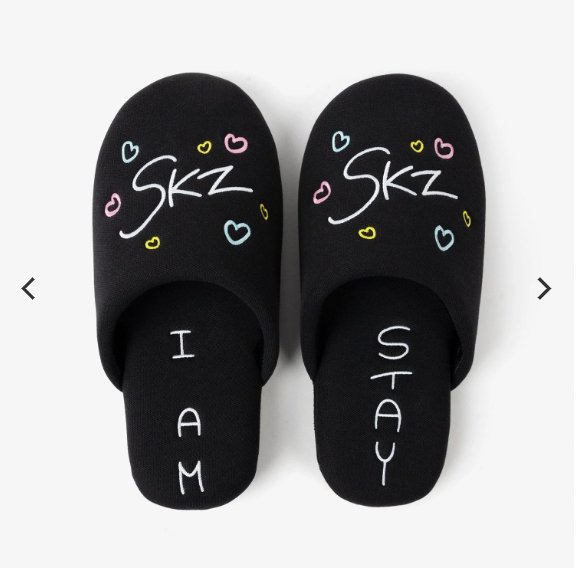 (Pre Order) Stray Kids World Tour DominATE Japan: ROOM SHOES WITH POUCH - Produced by HAN - KPop Idol