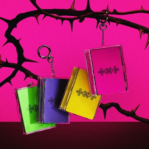 (Pre Order) TXT - 7th Year: A Moment of Stillness in the Thorns: Photocards Case ver. - KPop Idol