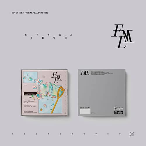 Seventeen - FML (Carat Version) - KPop Idol