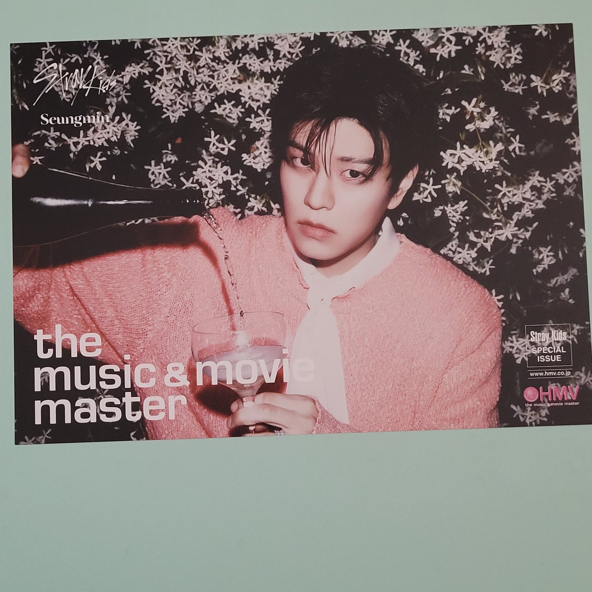 Stray Kids - Do It POB: HMV Japan Flyer (member choice) - KPop Idol