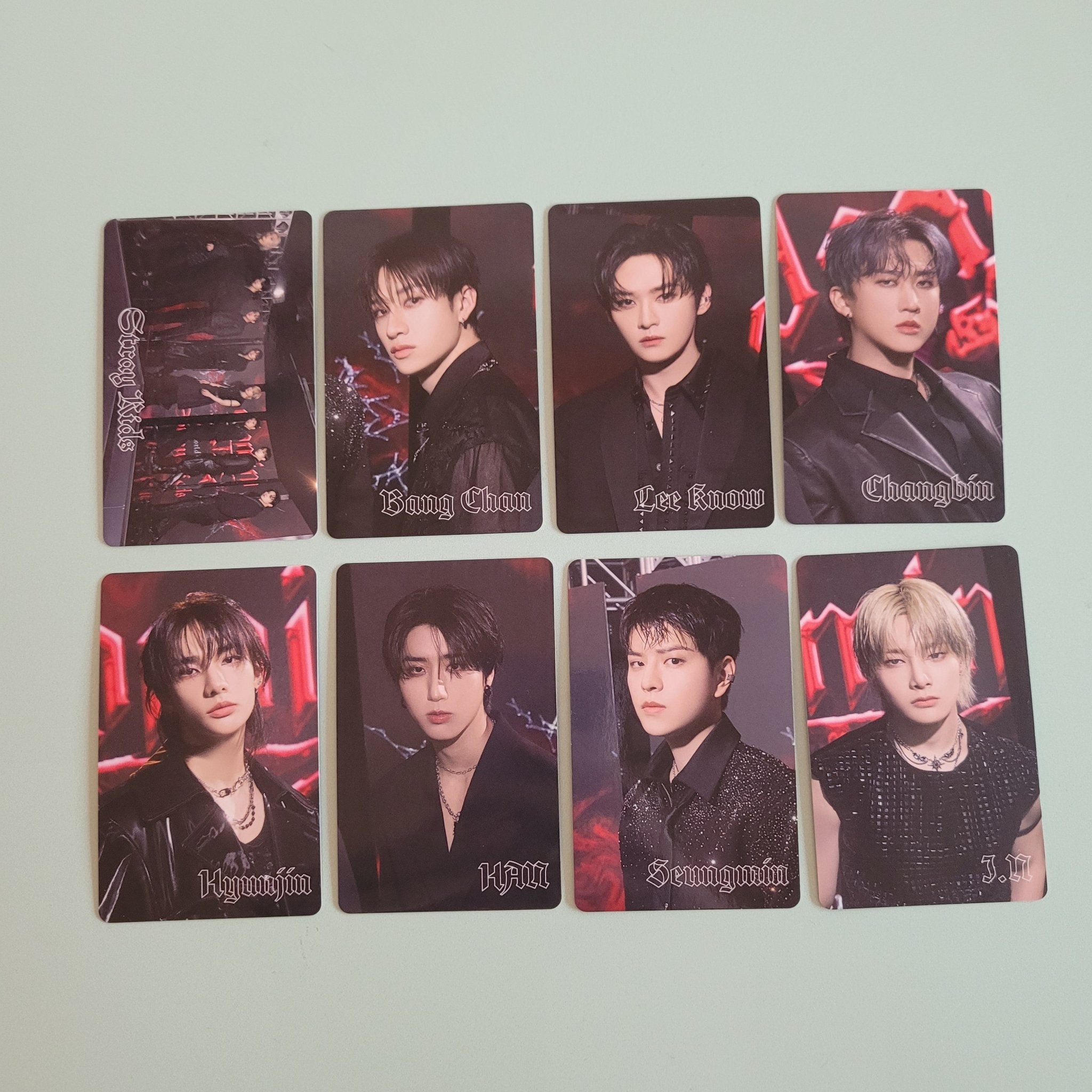 Stray Kids DominATE World Tour Japan Polaroid (member choice