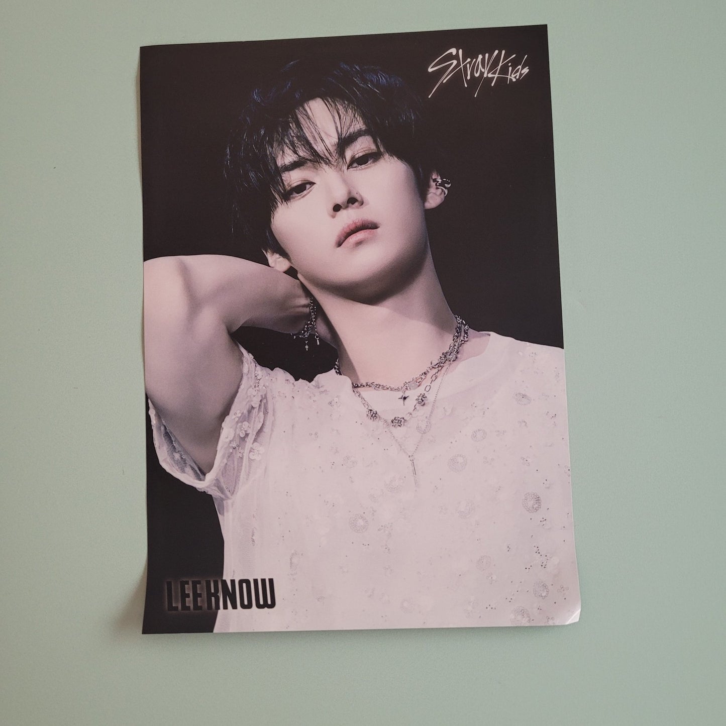 Stray Kids Giant Flyer: Tower Records - Lee Know - KPop Idol