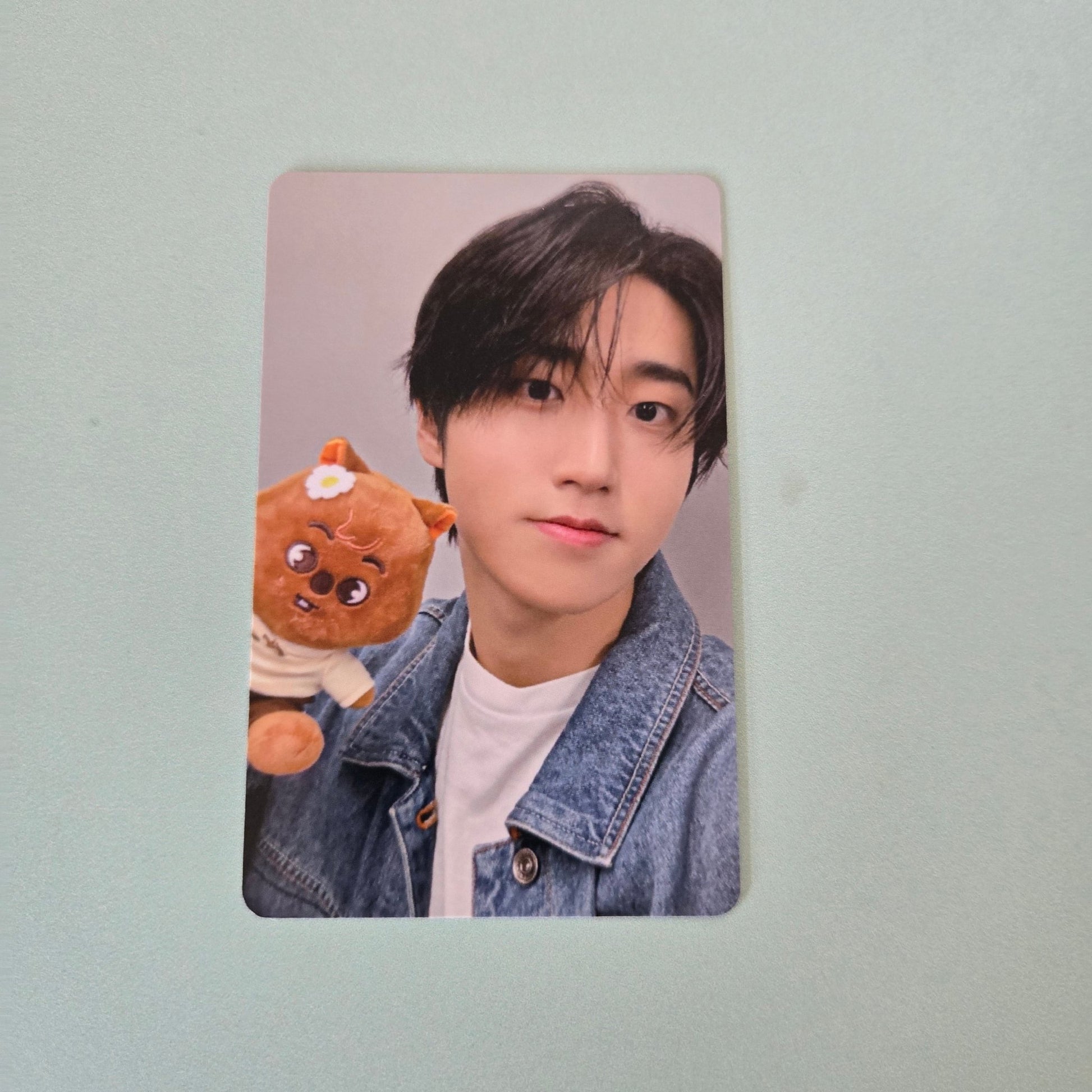 Stray Kids - Zootopia 2 Photocard - Han - KPop Idol