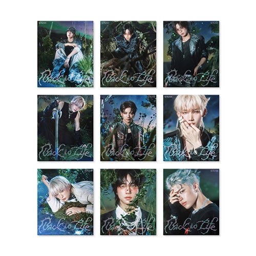 &Team KR - Back to Life: ROAR Version - KPop Idol
